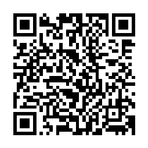 这些鱼发光似乎是让自己看起来更加的大一点儿凶猛了一点儿二维码生成