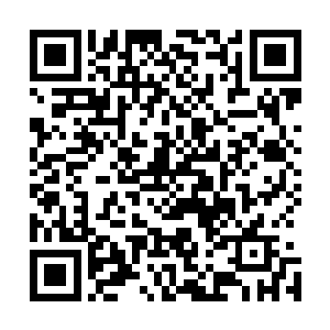 这些鱼类更多的对忽然出现在这里的这个人类知识害怕而已二维码生成