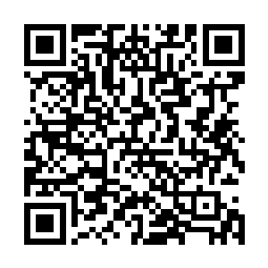 这些鸡蛋她们寻常除了给自家男人或者儿子吃一点补身体外二维码生成