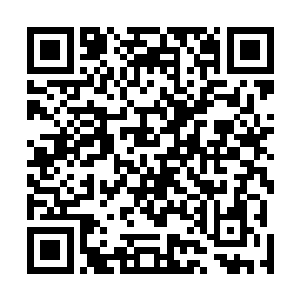 这些黑帮成员本来就不是受过什么对抗审讯训练的狠角色二维码生成