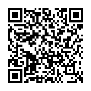 这什么银鳞金冠蛇难道真是天地所钟的完美物种二维码生成