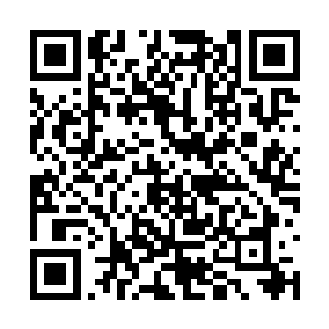 这从一个侧面也证明东岚的实力和外来岚盟的资本二维码生成
