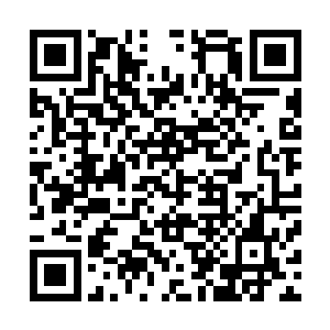 这仙主宫是由九大宗门宗主和上元盟十一上古天尊合力开启二维码生成