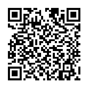 这仙露玉髓丹据说是天山之上那个神秘门派的传世之宝二维码生成