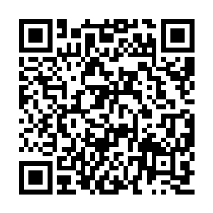 这代表其他五圣的五人几乎是同时闪身到了场内二维码生成