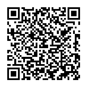 这件东西就是前段时间他从烈阳宗高飞扬手里得到的那颗废弃的龙珠二维码生成