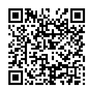 这件事不是谁对谁错的问题……我可以明确告诉你们二维码生成