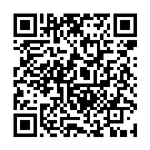 这件塞入树心的宝物能够把普通指天腾激活成这样子二维码生成