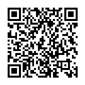 这价值五千金的原石在她面前却似乎只是再普通不过的石头二维码生成