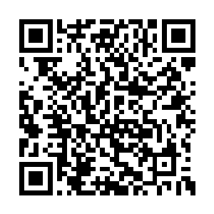 这份的战绩却是亮瞎了整个君主阁所有人的眼睛二维码生成