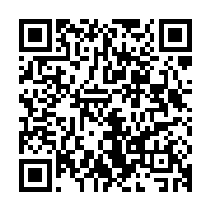 这伙倭寇总不会像历史上那群五十人的倭寇一样攻打陪都应天吧二维码生成