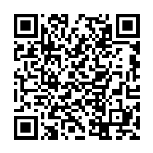 这会儿她突然写信来邀请她一起去惠山的温泉庄子二维码生成