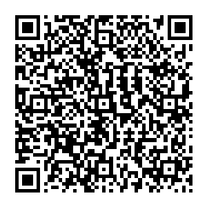 这会儿我一眼便看到了在我们身边的一个鬼皇从那鬼气之中伸出了一只手掌朝着我的头颅的抓来二维码生成