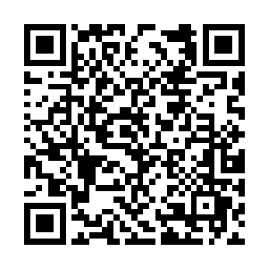 这会儿指挥部下四面八方前遮后拦将秦林严密保护二维码生成