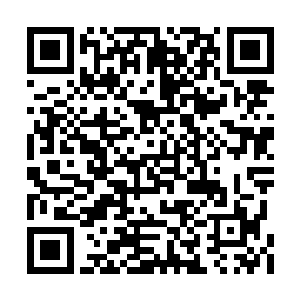 这会儿段掌柜和阿七正急匆匆往镇长大人家跑去二维码生成