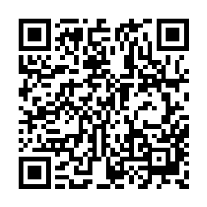 这会儿董小忍倒是有点理解霸王硬上弓的含义了二维码生成