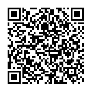 这会儿这块足足方圆三十多米的空间已经被我们十几个人完全的挖开了二维码生成