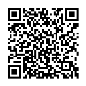 这会小凯和黑卷毛都在旁边的超市里躲着看我呢二维码生成