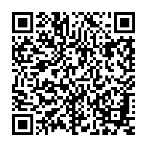 这位传奇后期的大人也不是忘记了秦宇曾经灭杀过七品后期的事情二维码生成