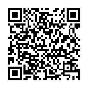 这位可不就是那位骄纵妄为无法无天的帝都小霸王九皇子吗二维码生成