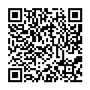这位已经晋入神圣领域的朝堂第一权者看见他也要主动请安二维码生成