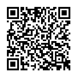 这位很有可能是血族暗党派出来为了圣血而来的二维码生成