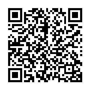 这位拉维斯公国至高无上的掌权者和他想象中的有些不太一样二维码生成