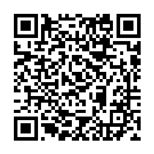 这位深狱炼魔没有按照阿斯摩蒂尔斯的游戏规则行动二维码生成