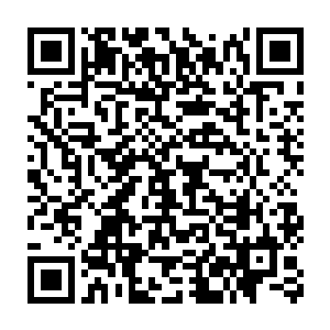 这位炼虚境界修士的储物袋也给杨晨和赵羽二人带来了不少的好处二维码生成