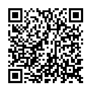 这位看似温文尔雅的神仙公子对苍茫山的映象十分不好二维码生成