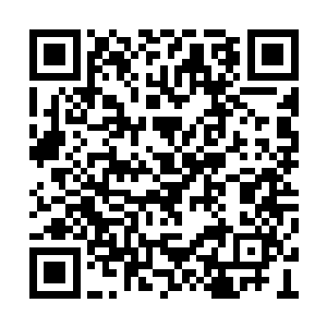 这位范晨的秦叔叔还真的是把自己当成亲叔叔了二维码生成