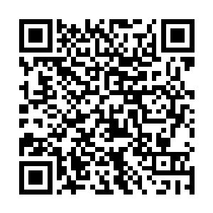 这位诞生于潘德拉的机械大师的全部著作终于收集完成二维码生成