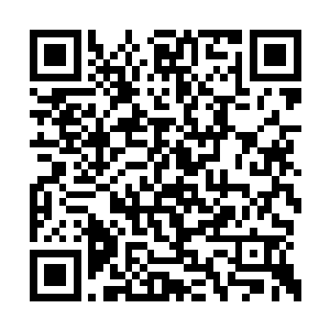 这位陛下似乎对原教旨主义的修仙大道并不热衷二维码生成