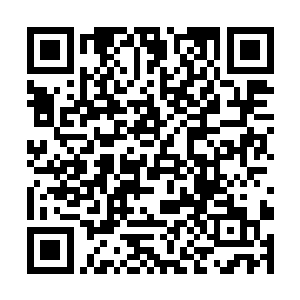 这位高大的男演员可以说是剧组演员中最大牌的一个二维码生成