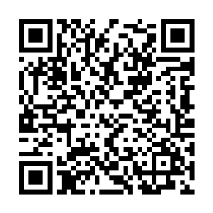 这使得他们看起来像是两只悬挂在黑暗之中的蜘蛛二维码生成
