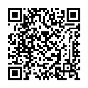 这使得他的战斗能力需要被打上一个大大的问号二维码生成