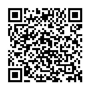 这便使得龙傲天他们对于外界的感应减弱了不少二维码生成