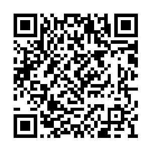 这俨然已经聚齐了新月大陆之上高手之处的众人二维码生成