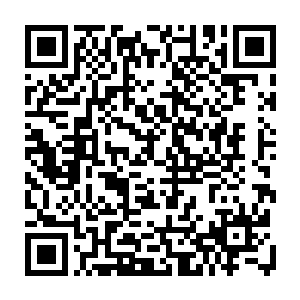 这俩货也不知道为什么就互相开起文言文来了……不过这并不影响他们的行动二维码生成