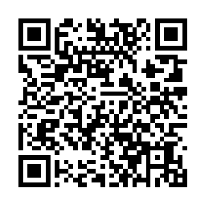 这倒不是为了彰显县委书记和县长之间地位的差距二维码生成