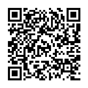 这傻小子还连他父亲和萧晨达成什么约定都不知道二维码生成