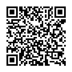 这儿的闪光灯简直如二战时的探照灯般照亮夜空二维码生成