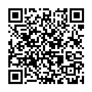 这关键是青脉和黑脉两位帝君在黑水的优势合力而为二维码生成