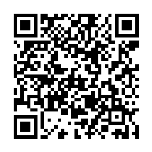 这具身体可是携带了足足五点神性和不少神之本源二维码生成