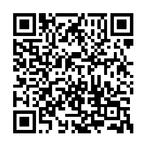 这具身体的父亲……很有可能是卡尔十七世……二维码生成
