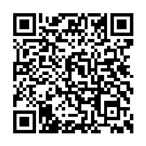 这具骨器的第一重操作可以看到人体的内部骨骼二维码生成