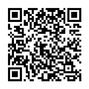 这几个字不约而同的在夜沐寒和蓝子夜脑海中浮现出来二维码生成