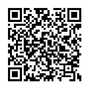 这几个月梓箐其实都在疯狂地做资本的原始积累二维码生成