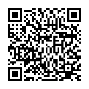 这几位仙王强者是不是真的就会对人族出手还是一件未知事情二维码生成