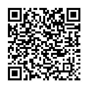 这几位潜龙郡身份地位最高的存在内心是无比的激动二维码生成